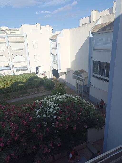 Appartement 2 Pieces + Cabine, 6 Couchages Le Grau-du-Roi Kültér fotó